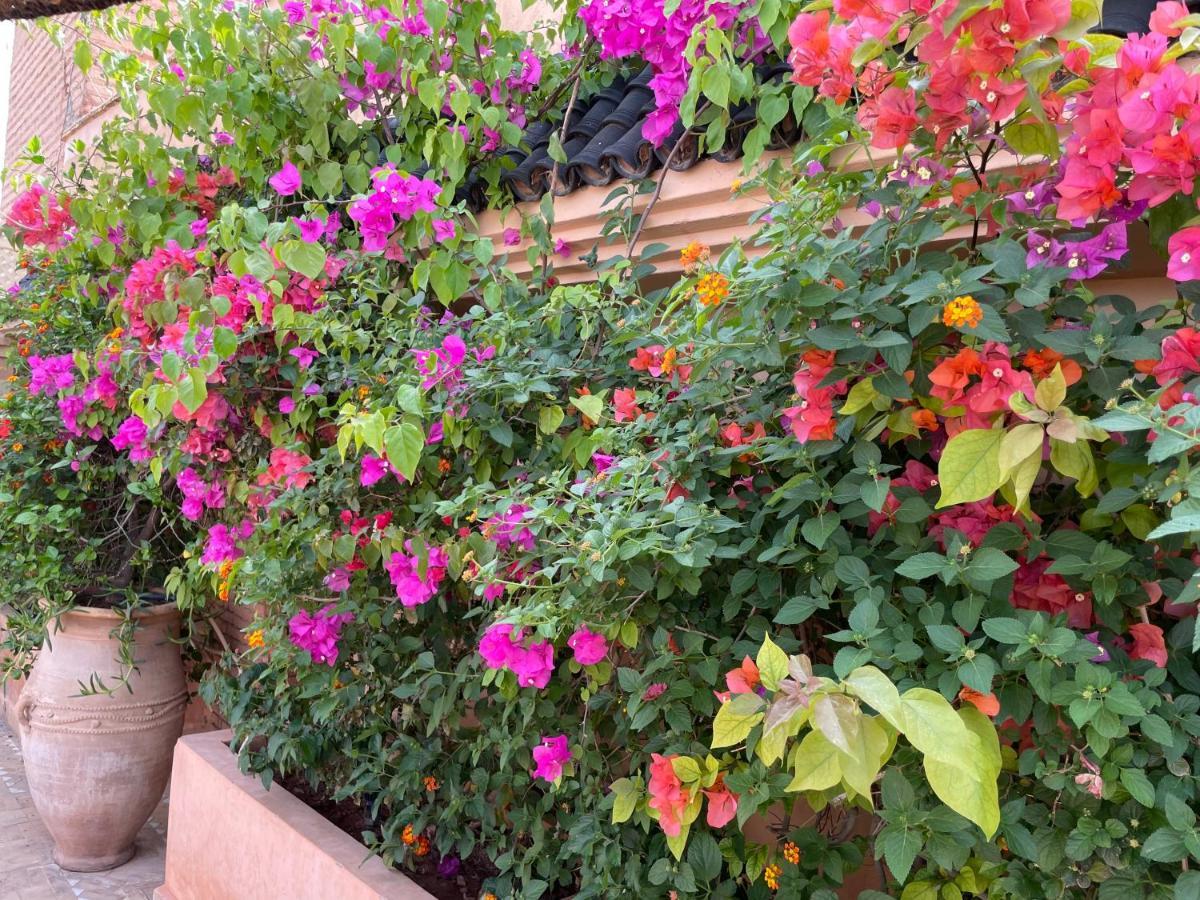 Riad Zouhour Marrakesh Exterior photo